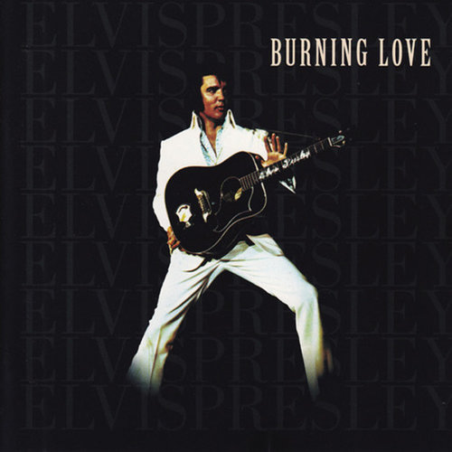 1999 – Burning Love (Compilation)