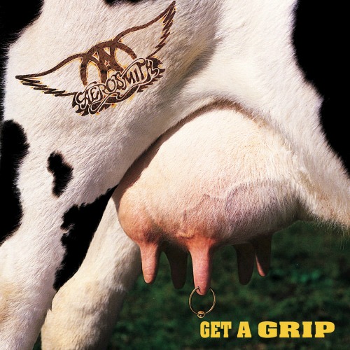 1993 – Get a Grip