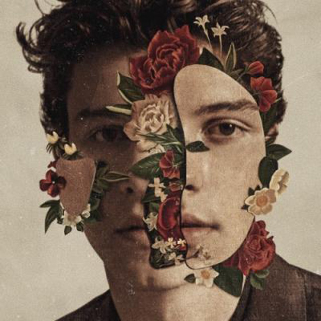 2018 – Shawn Mendes